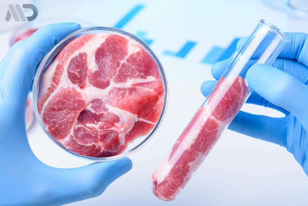 گوشت مصنوعی در تکنولوژی های جدید